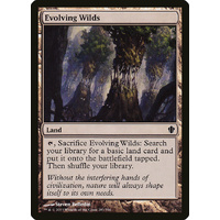 Evolving Wilds - C13