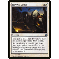 Survival Cache - C13