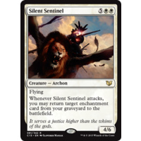 Silent Sentinel - C15