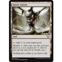 Zoetic Cavern - C15