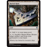 Buried Ruin - C16
