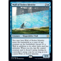 Wall of Stolen Identity - C19