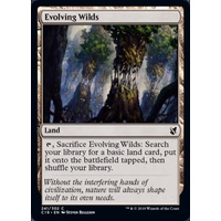 Evolving Wilds - C19