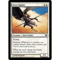 Aven Squire - CFX