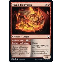 Young Red Dragon