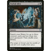 Buried Alive - CM2