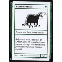 Experiment Five