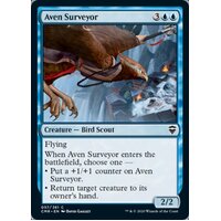 Aven Surveyor - CMR