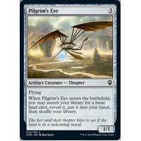 Pilgrim's Eye - CMR