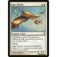 Apex Hawks - CNS