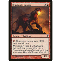 Chartooth Cougar - CNS