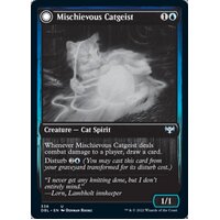 Mischievous Catgeist // Catlike Curiosity - DBL