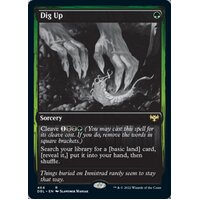 Dig Up - DBL