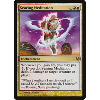 Searing Meditation - DDH