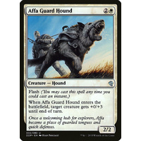 Affa Guard Hound - DDP