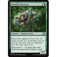 Loxodon Surveyor - DFT