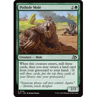 Pothole Mole - DFT
