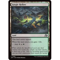 Jungle Hollow - DFT