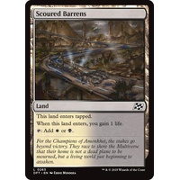 Scoured Barrens - DFT