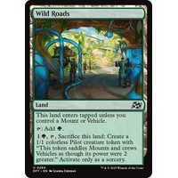 Wild Roads - DFT