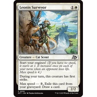 Leonin Surveyor FOIL - DFT