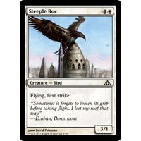 Steeple Roc - DGM