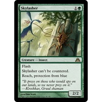 Skylasher - DGM