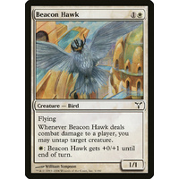 Beacon Hawk - DIS