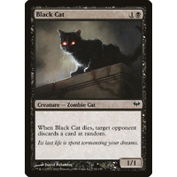 Black Cat - DKA