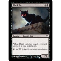 Black Cat FOIL - DKA