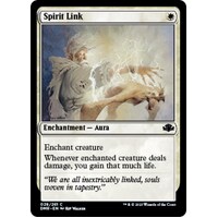 Spirit Link - DMR