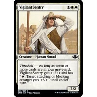 Vigilant Sentry - DMR