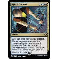 Spinal Embrace - DMR