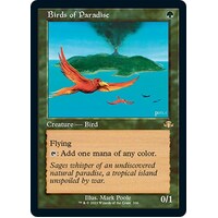 Birds of Paradise (Retro Frame) FOIL - DMR
