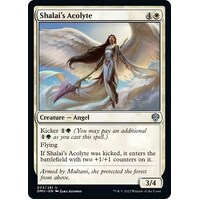 Shalai's Acolyte - DMU