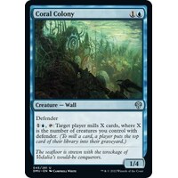 Coral Colony - DMU
