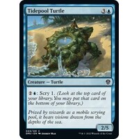 Tidepool Turtle - DMU