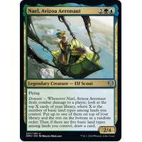 Nael, Avizoa Aeronaut - DMU