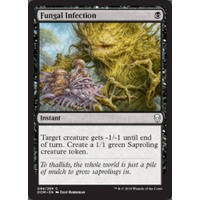 Fungal Infection - DOM