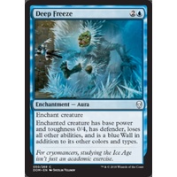 Deep Freeze FOIL - DOM