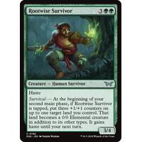 Rootwise Survivor FOIL - DSK