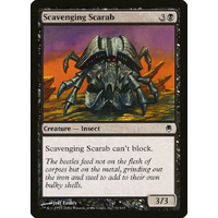 Scavenging Scarab - DST