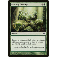 Echoing Courage - DST