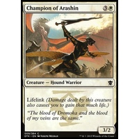 Champion of Arashin - DTK