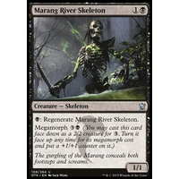 Marang River Skeleton - DTK