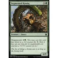 Segmented Krotiq - DTK