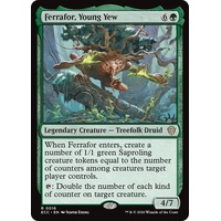 Ferrafor, Young Yew - ECC