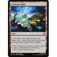 Evolving Wilds FOIL - ECL