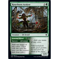 Rosethorn Acolyte // Seasonal Ritual - ELD