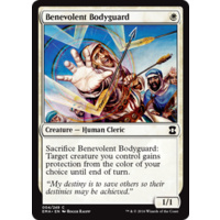 Benevolent Bodyguard - EMA
